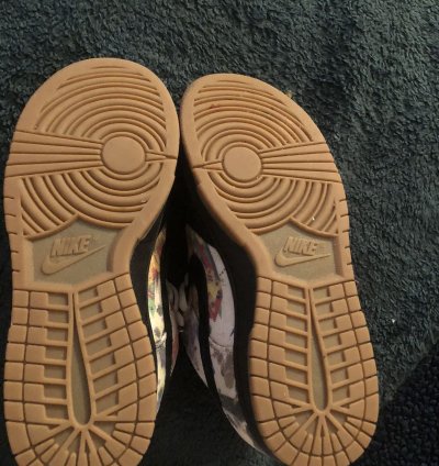 Supreme Dunks