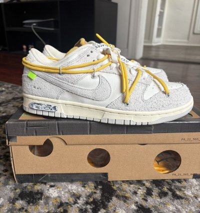 Nike Dunk Off White Lot 39