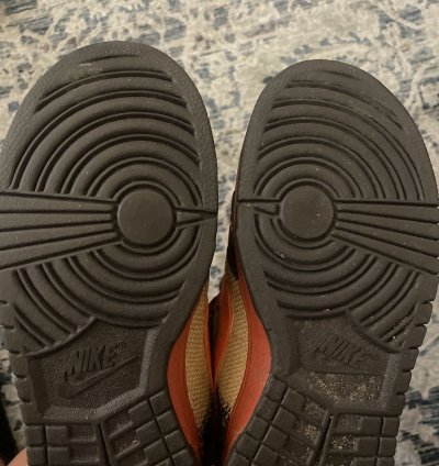 Nike Dunk Sb Hunter