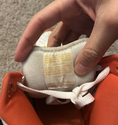 Supreme Nike Dunk High Pro Sb Orange Size 9 5