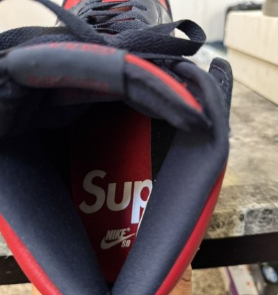 Supreme Nike Dunk High Sb By Any Means