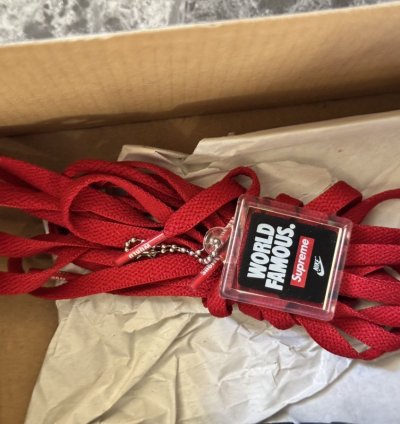 Supreme Nike Dunk High Sb By Any Means