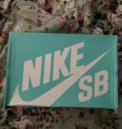 Supreme Nike Sb Af2 Low Teal