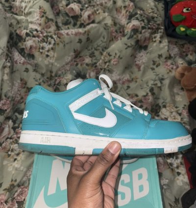Supreme Nike Sb Af2 Low Teal