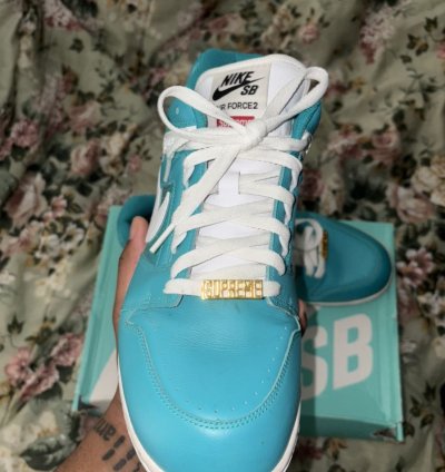Supreme Nike Sb Af2 Low Teal