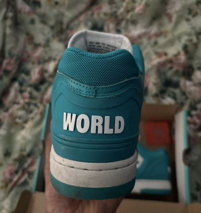 Supreme Nike Sb Af2 Low Teal