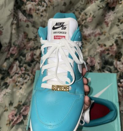 Supreme Nike Sb Af2 Low Teal