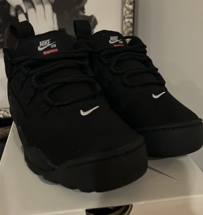 Supreme Nike Sb Darwin Low Black Size 6