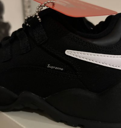 Supreme Nike Sb Darwin Low Black Size 6