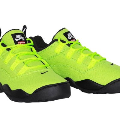 Supreme Nike Sb Darwin Low Volt