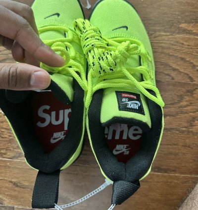 Supreme Nike Sb Darwin Low Volt