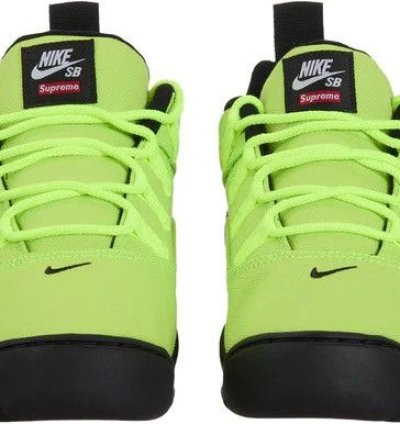 Supreme Nike Sb Darwin Low Volt