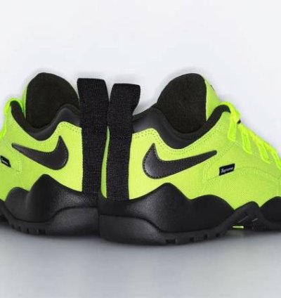 Supreme Nike Sb Darwin Low Volt
