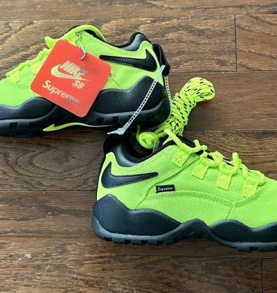Supreme Nike Sb Darwin Low Volt
