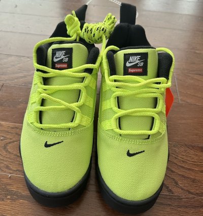 Supreme Nike Sb Darwin Low Volt