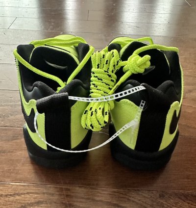 Supreme Nike Sb Darwin Low Volt