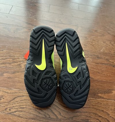 Supreme Nike Sb Darwin Low Volt