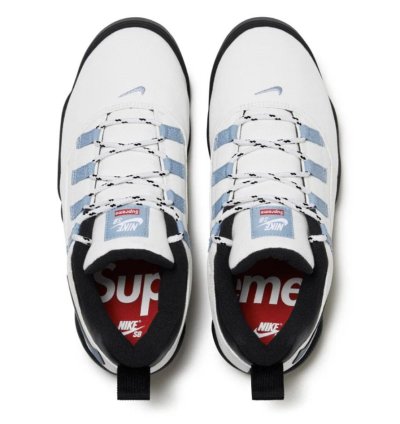 Supreme Nike Sb Darwin Low White Size 8 5 In Hand