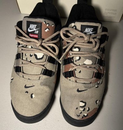 Supreme Nike Sb Desert Camo Air Darwin Shoes