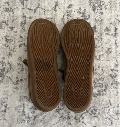 Supreme Nike Sb Ftw Blazer Low Gt Golden Beige 10