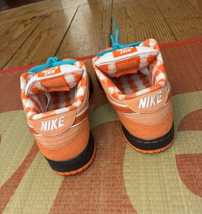 Nike Sb Concepts Orange Lobster