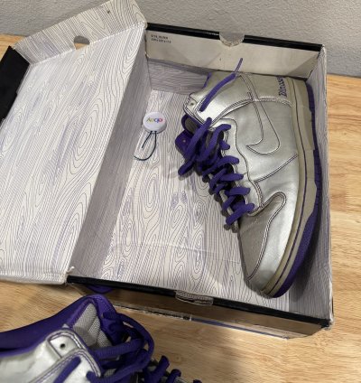 Nike Sb Dunk High Dinosaur Jr