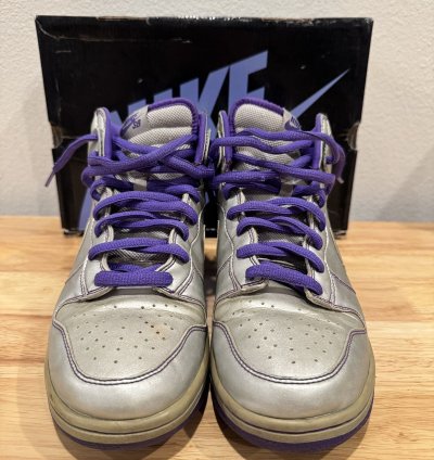 Nike Sb Dunk High Dinosaur Jr
