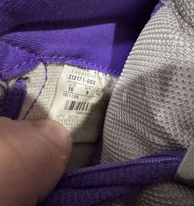 Nike Sb Dunk High Dinosaur Jr