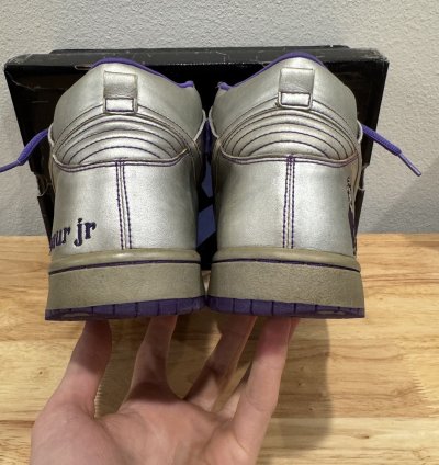 Nike Sb Dunk High Dinosaur Jr