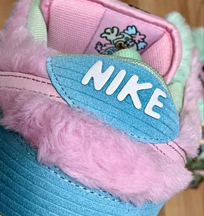 Nike Dunk Low Sb visty