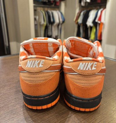 Nike Sb Dunk Low Concepts Orange Lobster