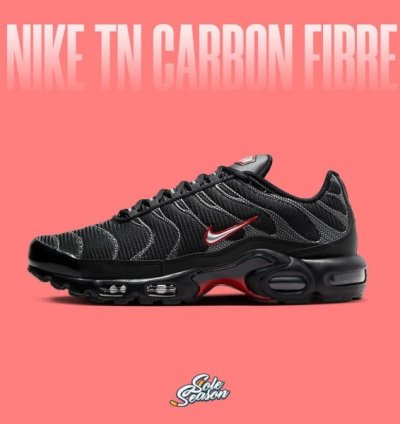 Nik E Air Max Plus Black Silver Running Shoes