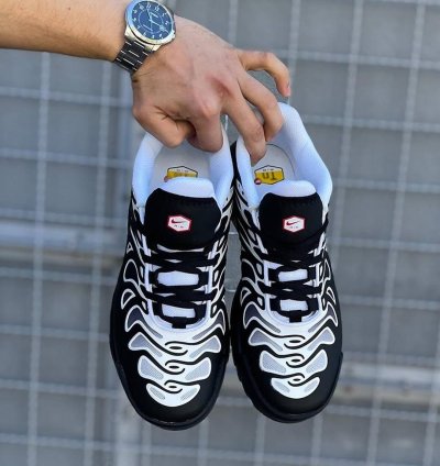 Nik E Air Max Plus Drift Running Shoes