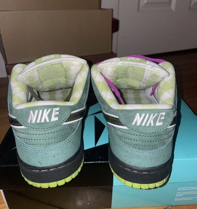 Nike Sb Dunk Low Green Lobster Special Box