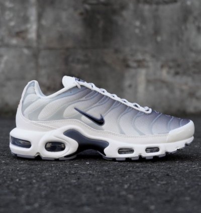 Nik E Air Max Tn Sail Grey Running Shoes