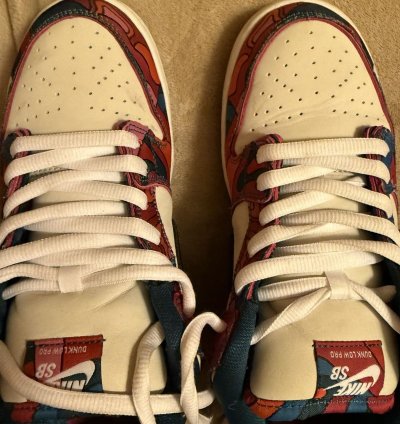 Nike Sb Dunk Low Pro Parra Abstract Art