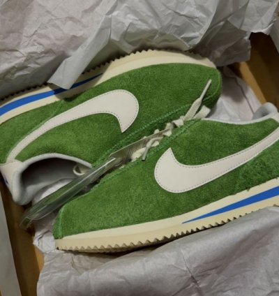 Nik E Cortez Vintage Chlorophyll Sail Light Photo Blue Sneakers