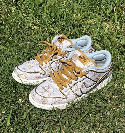 The Nike Sb Dunk Low City Of Style