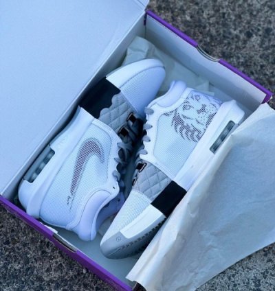 Nik E Lebron Witness 8 White Silver Basketball Sneakers
