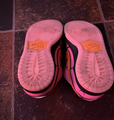 The Powerpuff Girls Dunk Pro Sb Qs Low Blossom Size 5 5y