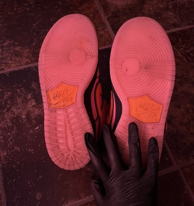 The Powerpuff Girls Dunk Pro Sb Qs Low Blossom Size 5 5y