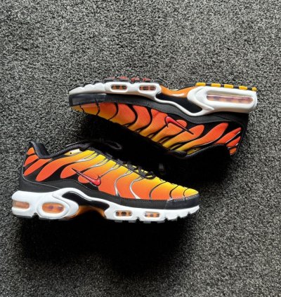 Tiger Retro 2024 Nike Air Max Plus Tn - Ds