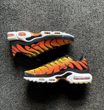 Tiger Retro 2024 Nike Air Max Plus Tn - Ds