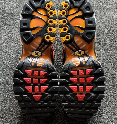 Tiger Retro 2024 Nike Air Max Plus Tn - Ds