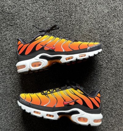 Tiger Retro 2024 Nike Air Max Plus Tn - Ds