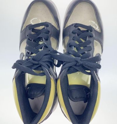 Transparent Dunks