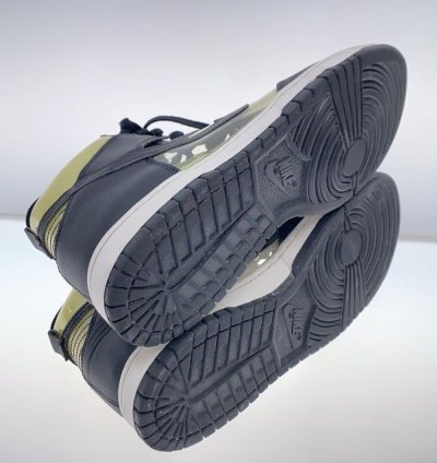 Transparent Dunks
