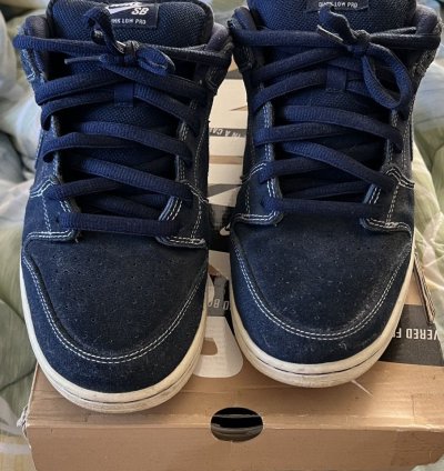 Nike Sb Pro Blueprint Size 12