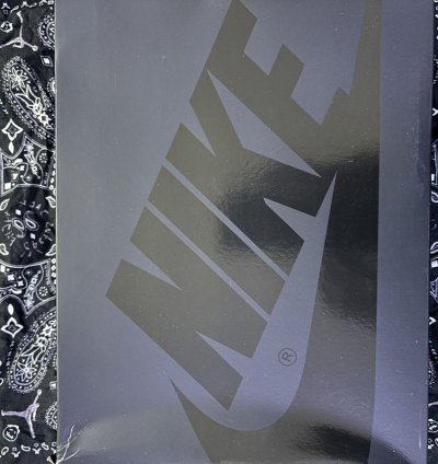 Travis Scott Nike Dunks Black Phantom