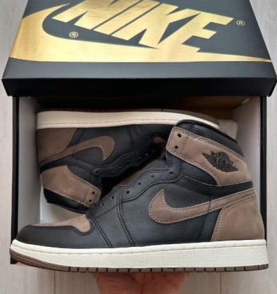 Nike Air Jordan 1 Palomino Basketball Sneakers Semi Ua